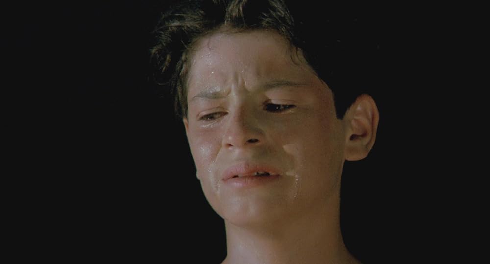 در یک قفسه شیشه ای