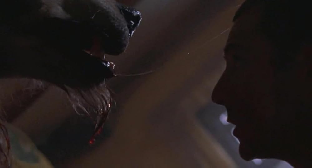 سربازان سگی