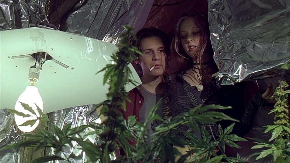 گاز گرفتن جینجر