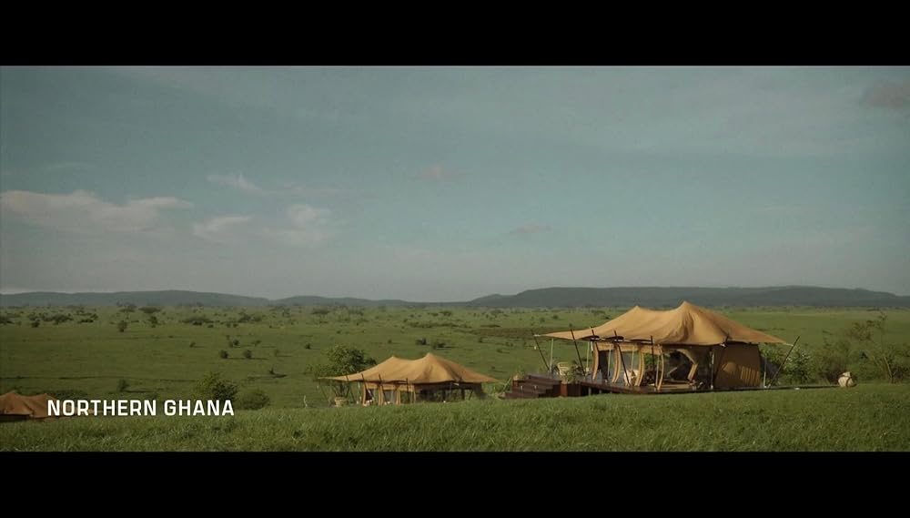 کراون شکارچی