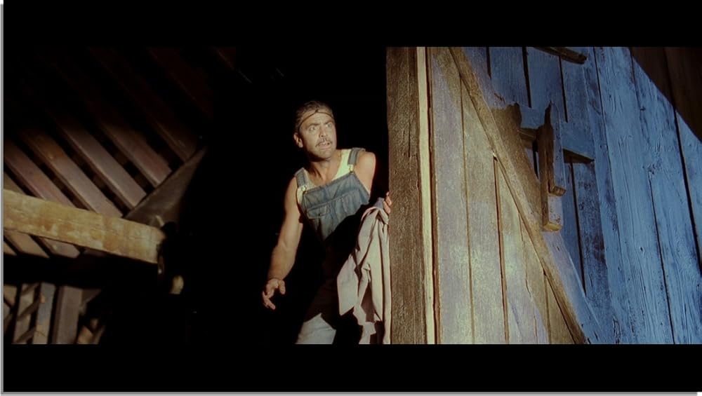 ای برادر، کجایی؟