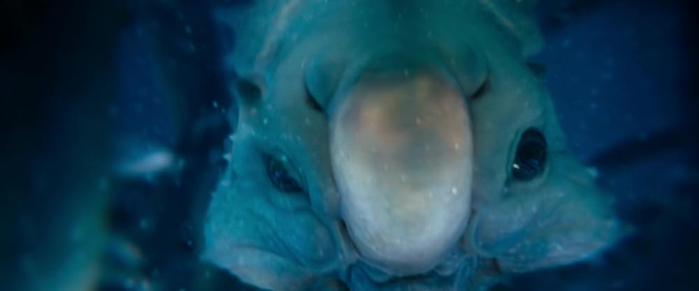 پیشتازان فضا: بخش ۳۱