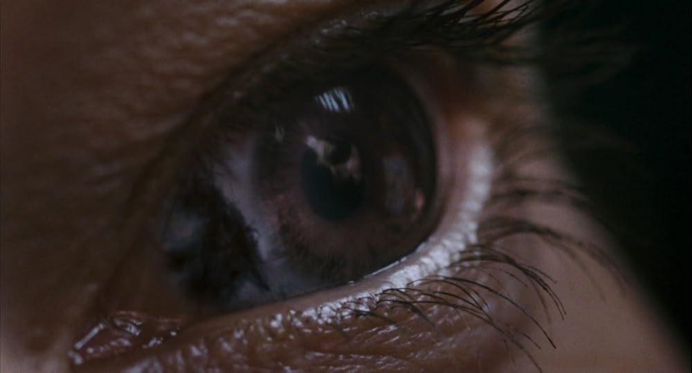 ۲۸ هفته بعد