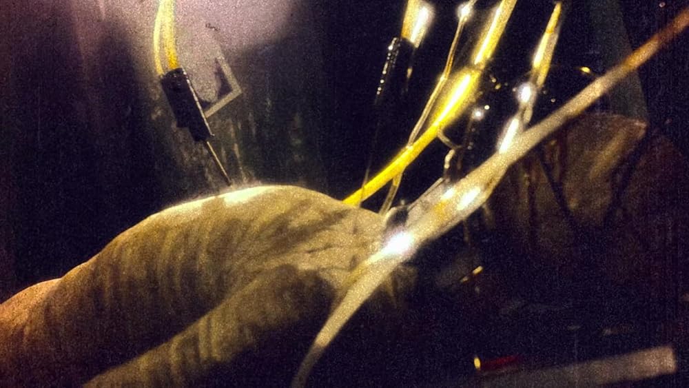 خدای دیوانه