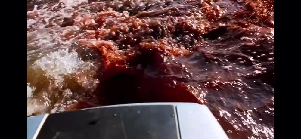 ۲۸ هفته بعد