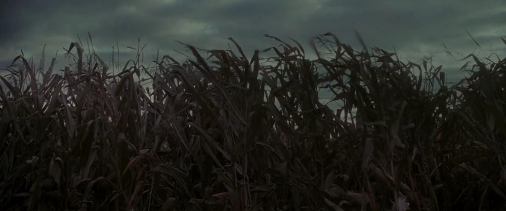 جن‌ گیری امیلی رز