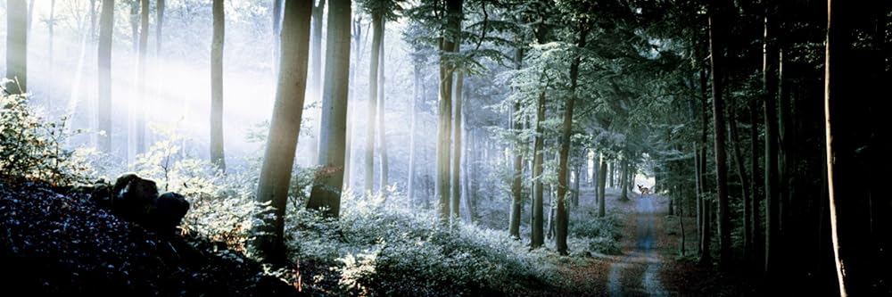 بامبی: تسویه حساب