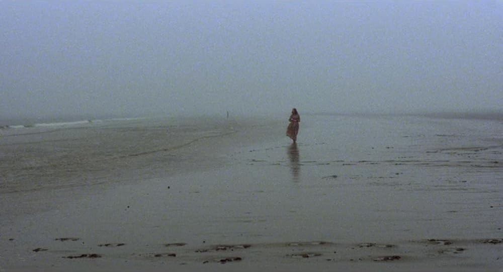 نوسفراتو خون‌آشام