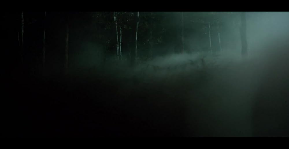 بامبی: تسویه حساب