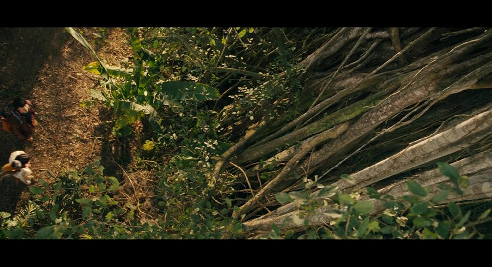 دورا در جستجوی سول دورادو