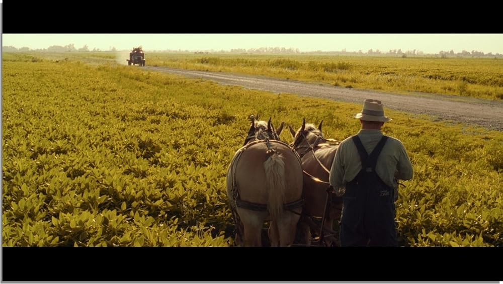 ای برادر، کجایی؟