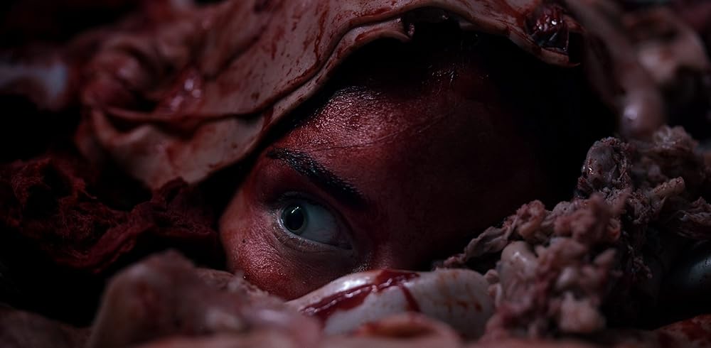 گوشت می کشد