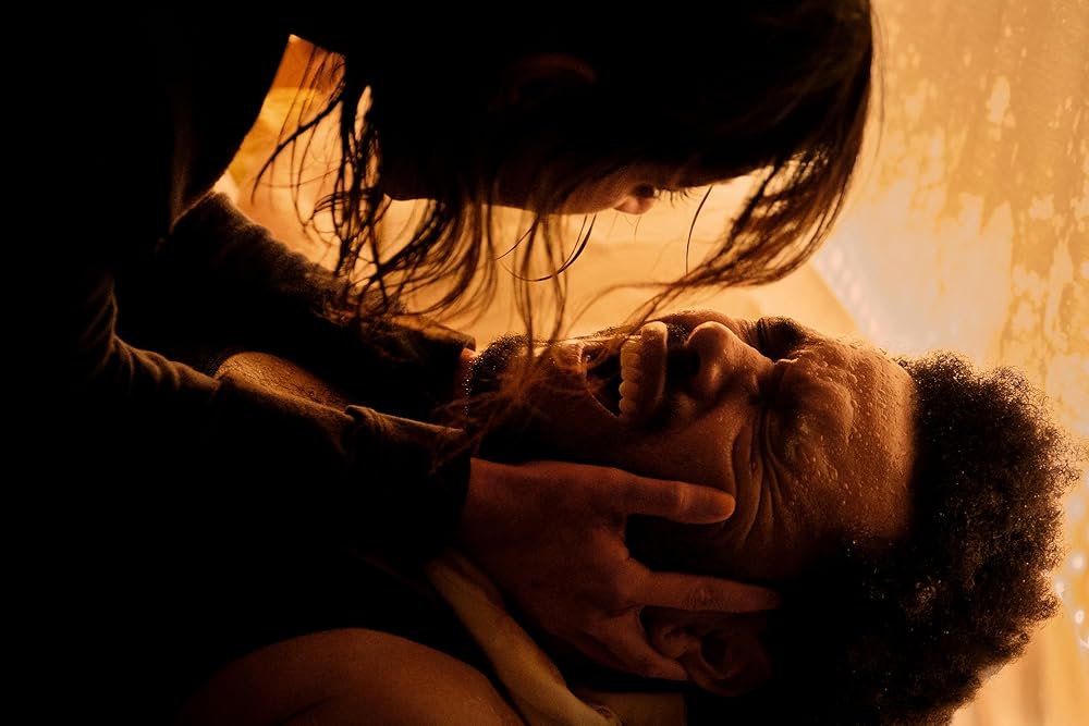 فردا عجله کن