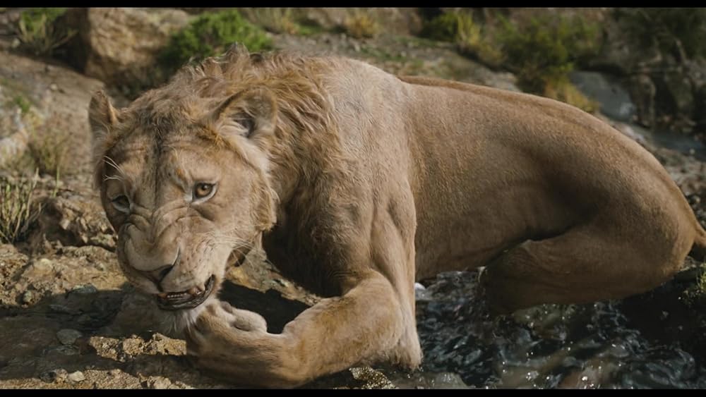 موفاسا: فرمانروای شیرها