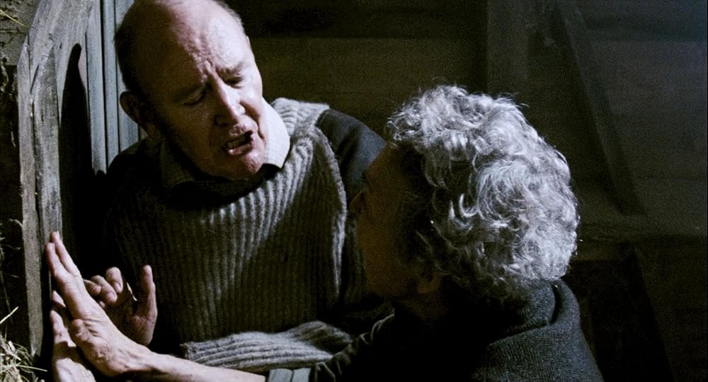 ۲۸ هفته بعد