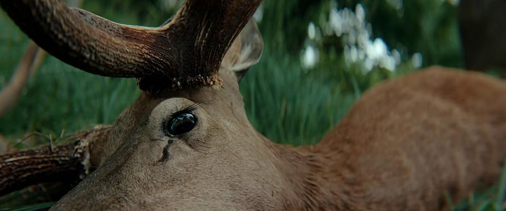 کنت مونت کریستو