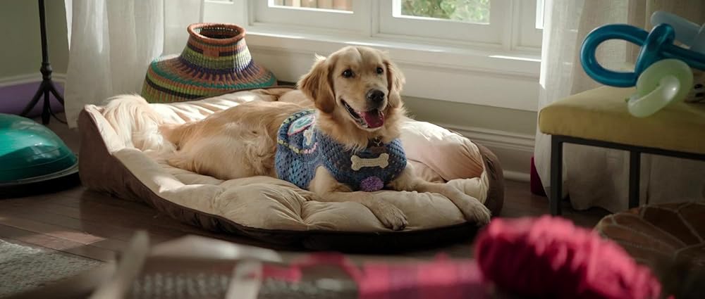 سونیک خارپشت ۳