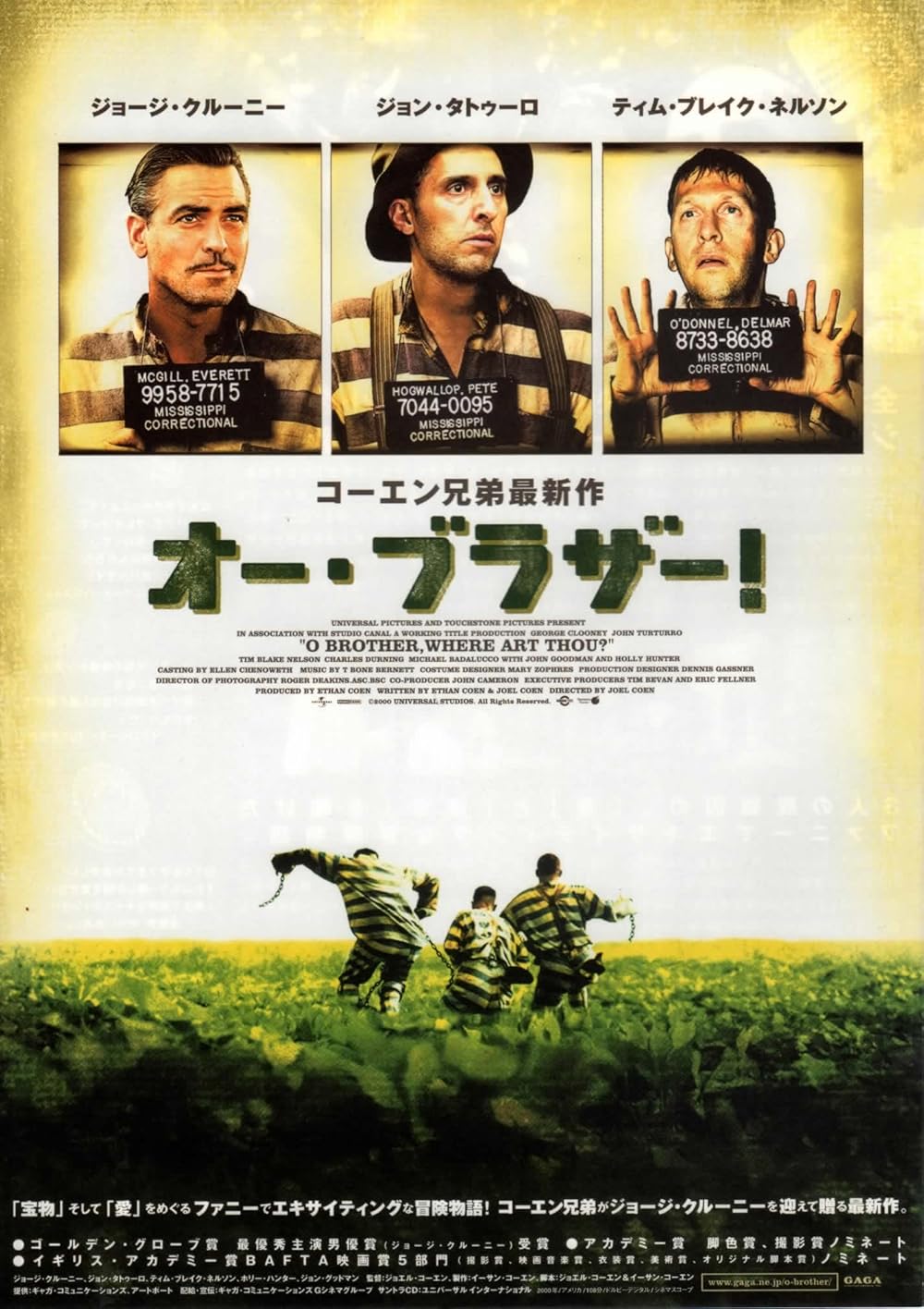 ای برادر، کجایی؟