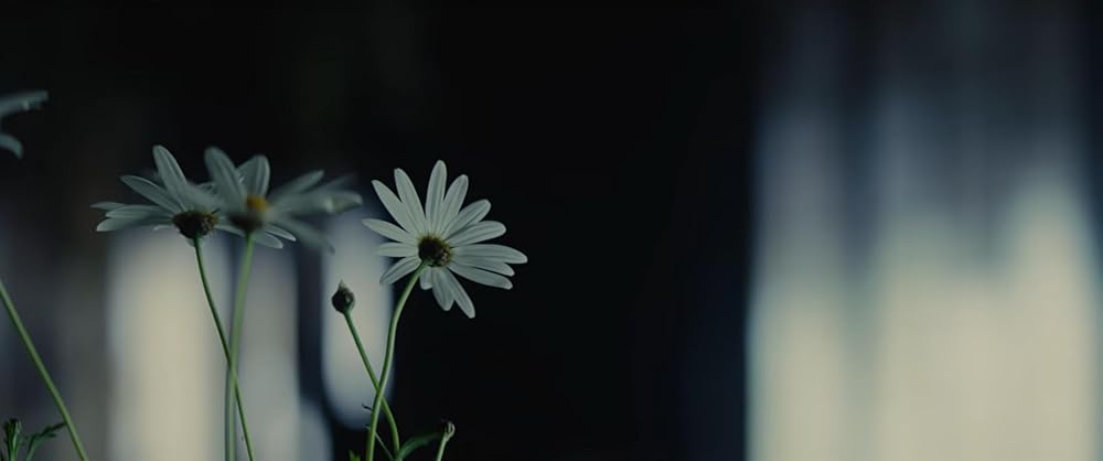 شمشیرزن دوره‌گرد: آغاز