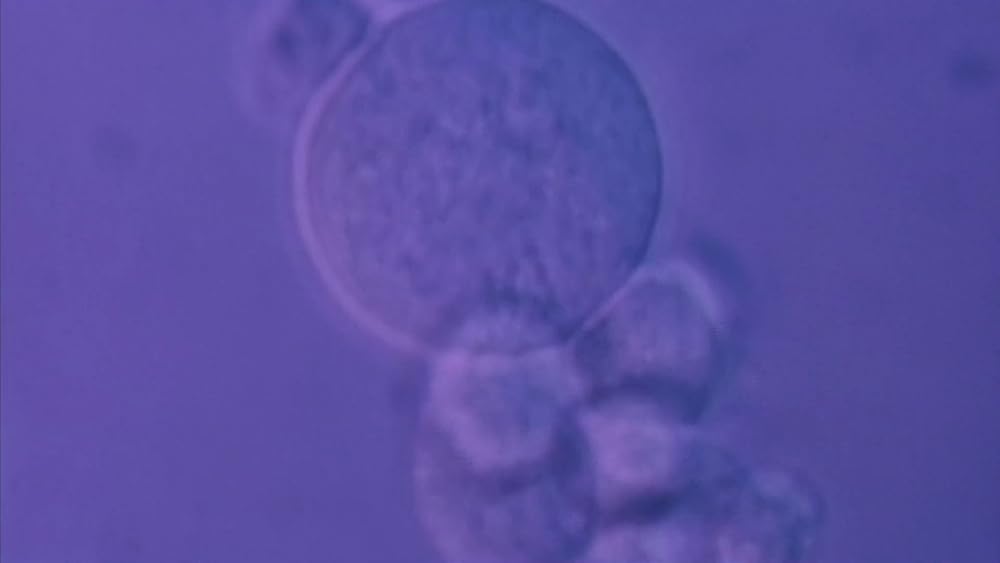 گاز گرفتن جینجر