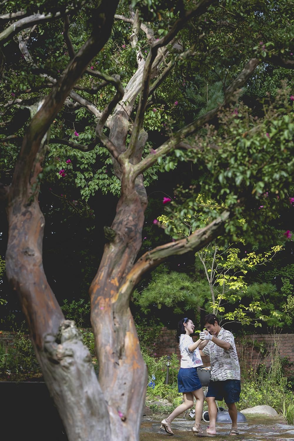 چاره‌ای نیست