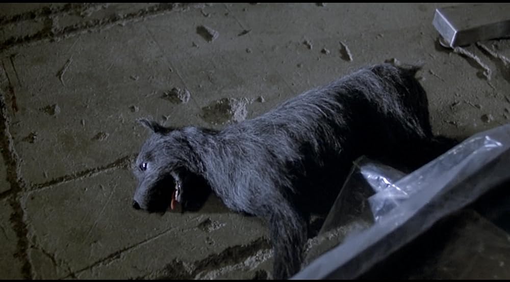 بازگشت مردگان زنده