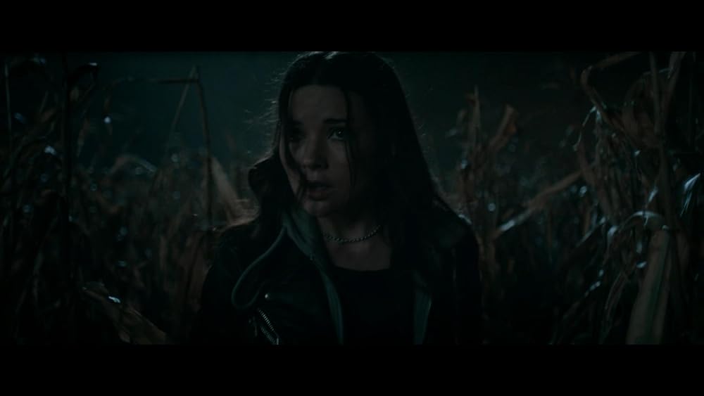 دلقک در مزرعه ذرت