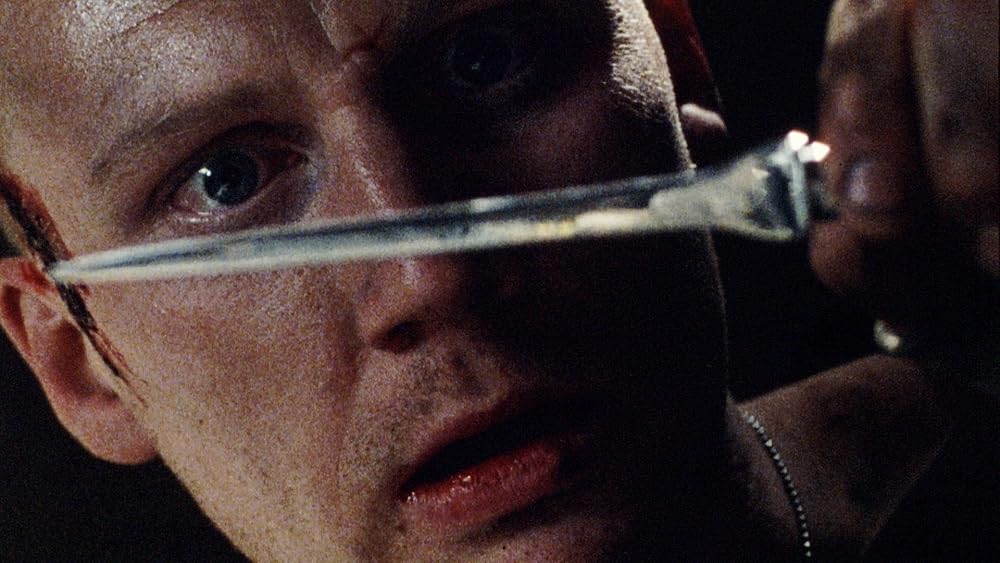 سربازان سگی