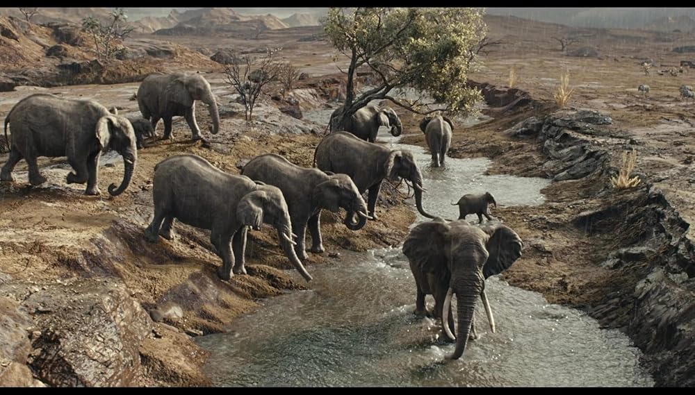 موفاسا: فرمانروای شیرها