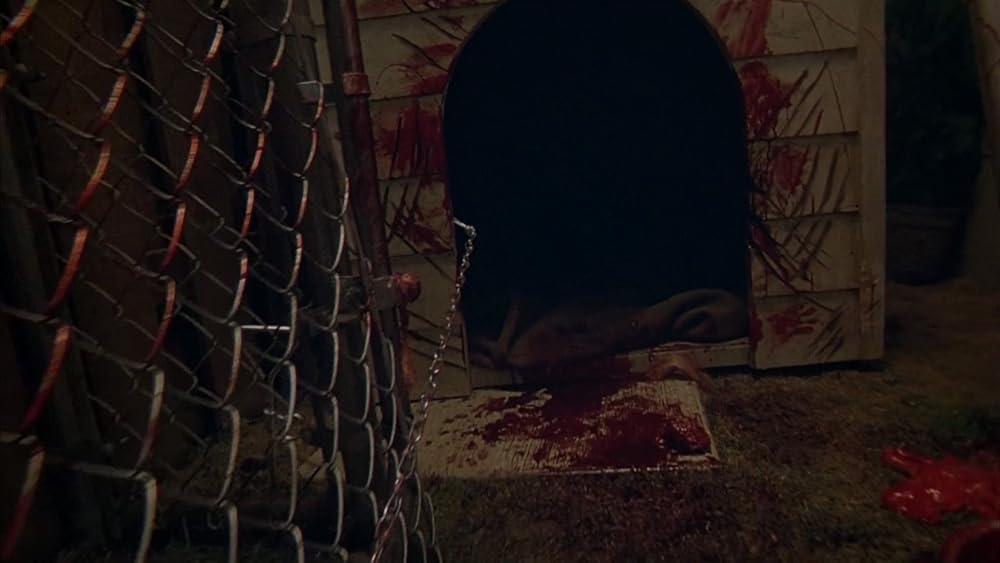 گاز گرفتن جینجر