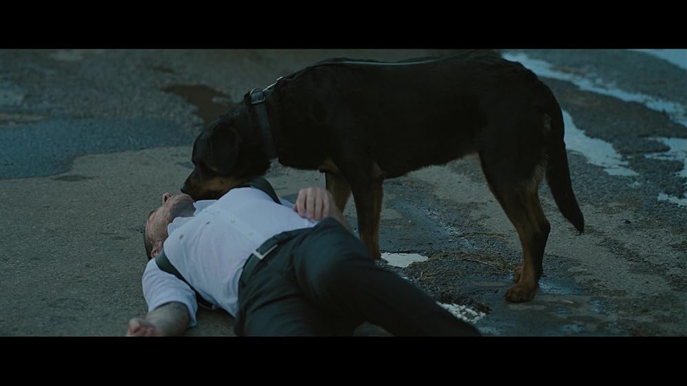 کراون شکارچی