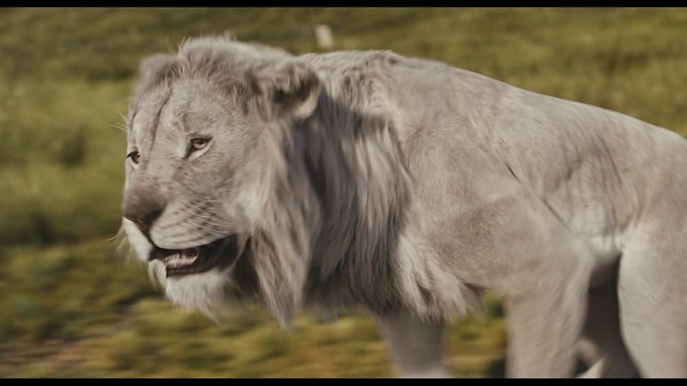 موفاسا: فرمانروای شیرها