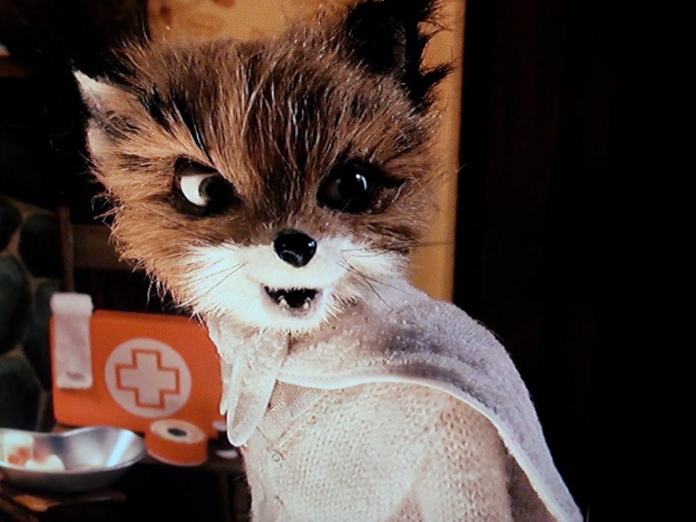 آقای فاکس شگفت انگیز