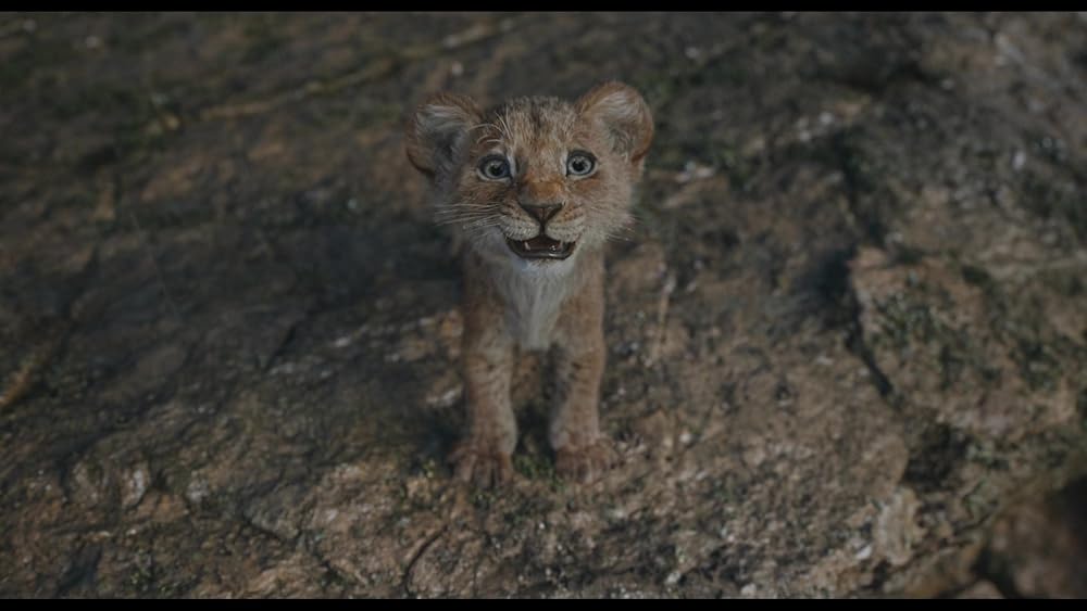 موفاسا: فرمانروای شیرها