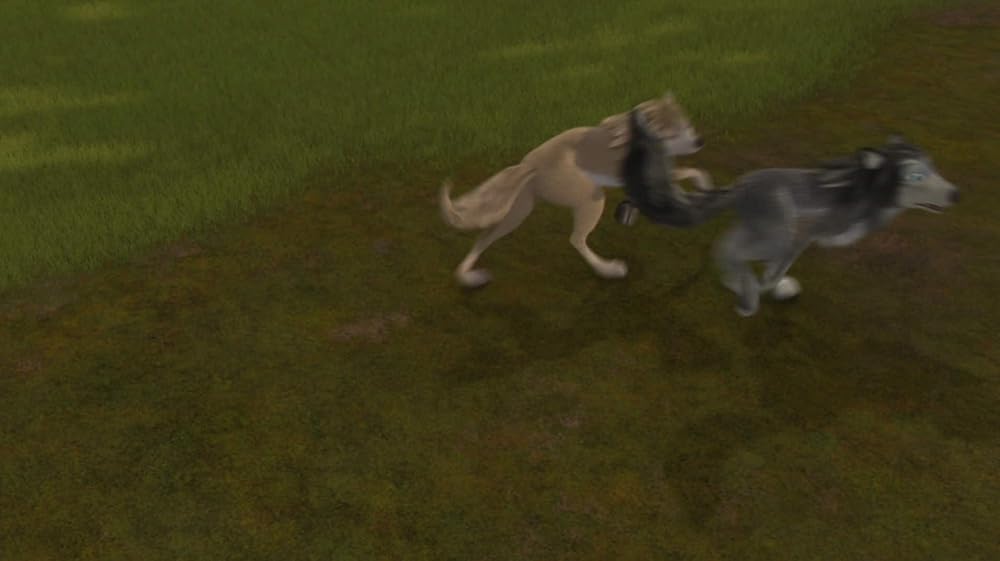 آلفا و امگا 5: تعطیلات خانوادگی