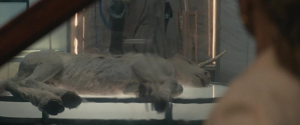 مرگ یک تک‌شاخ