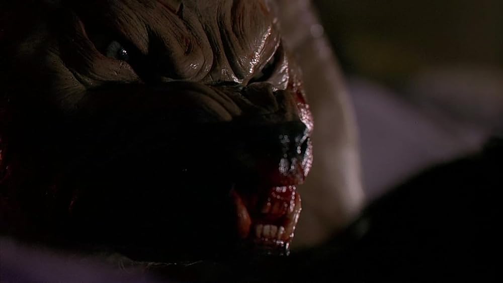 گاز گرفتن جینجر