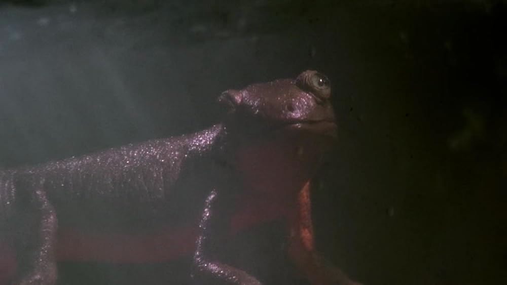 خدای دیوانه