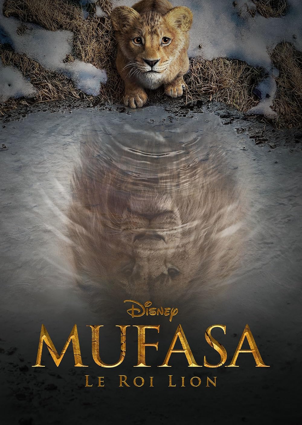 موفاسا: فرمانروای شیرها