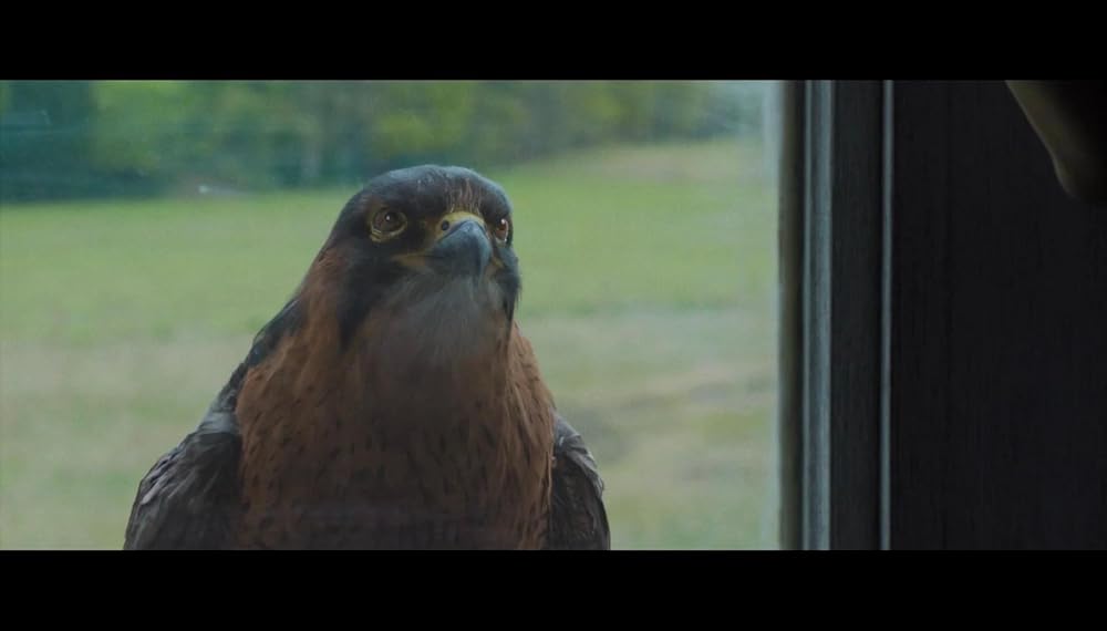 کراون شکارچی