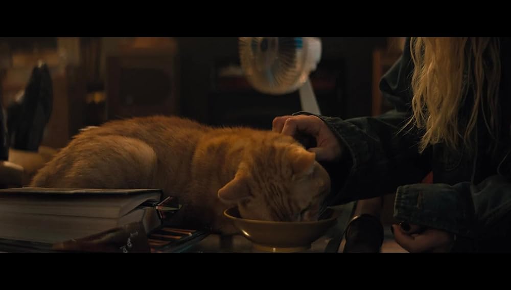 الکتریک استیت