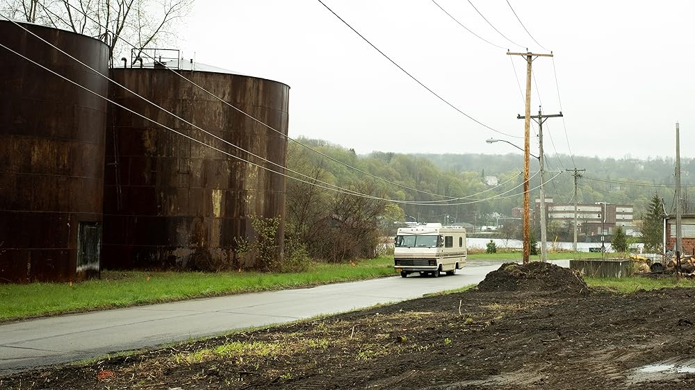 سگ ها در جاده