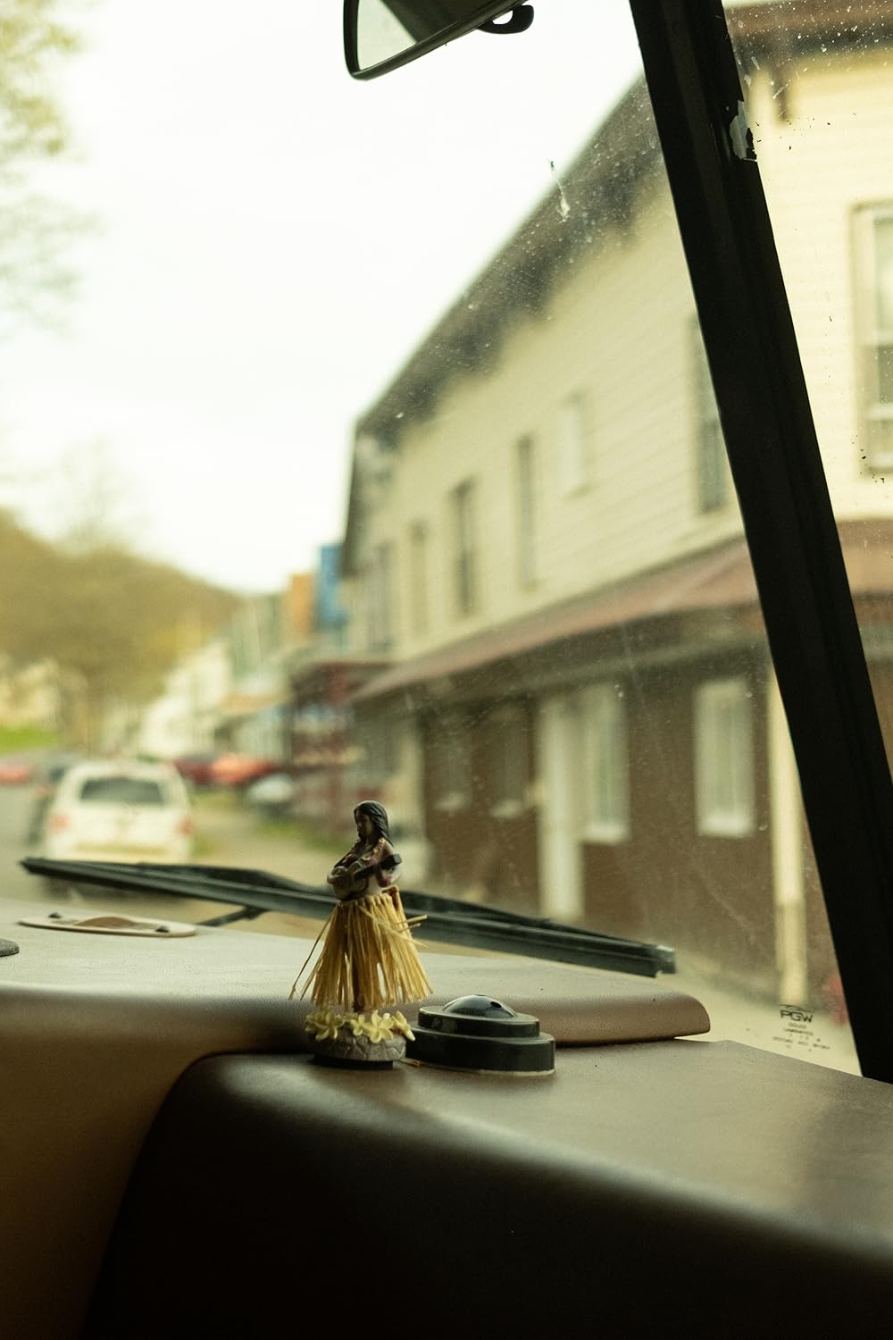 سگ ها در جاده