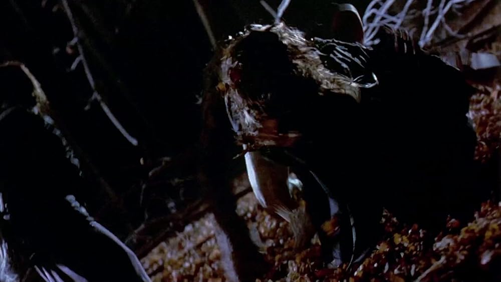 گاز گرفتن جینجر