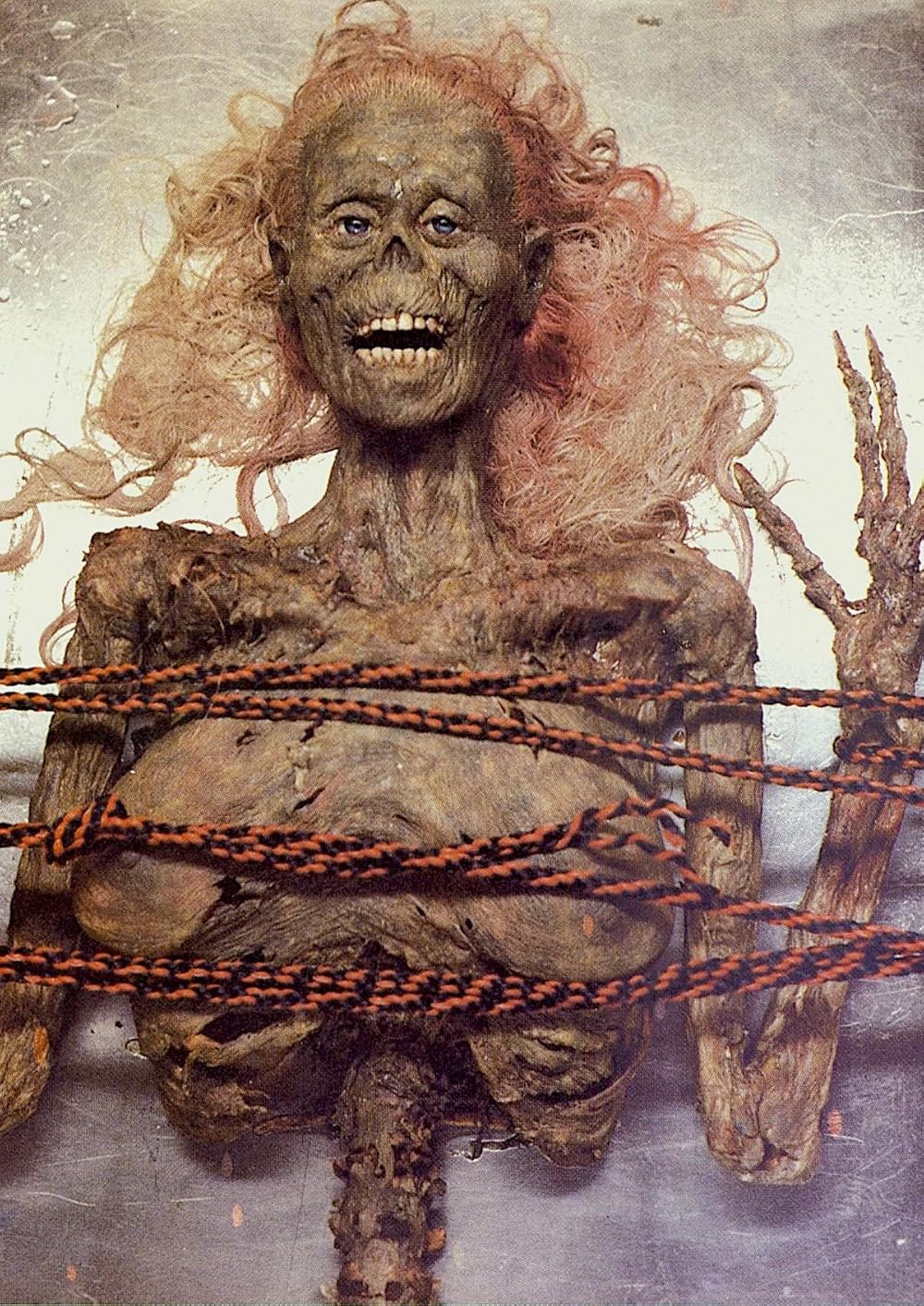 بازگشت مردگان زنده