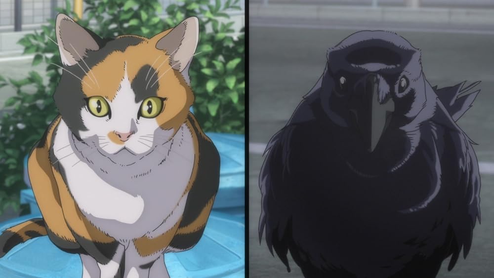 هایکیو!! نبرد دامپستار