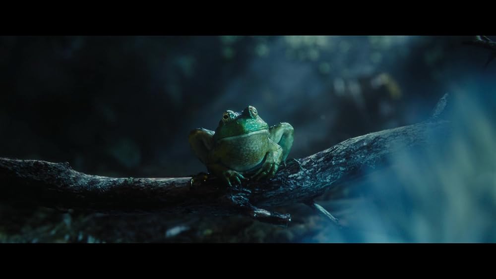 لیلو و استیچ