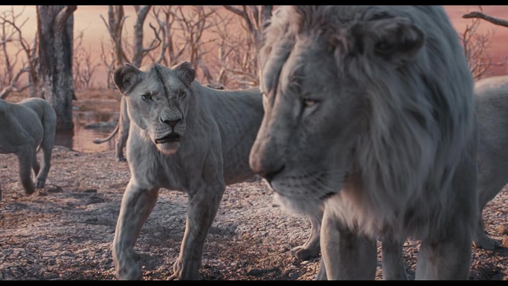 موفاسا: فرمانروای شیرها