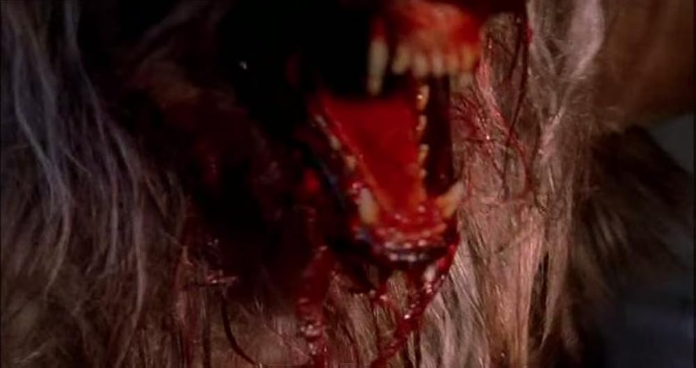 سربازان سگی