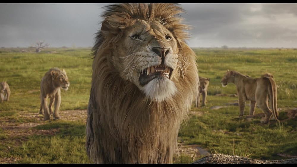 موفاسا: فرمانروای شیرها